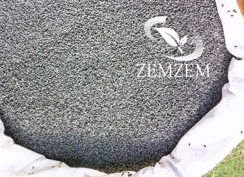 99% pure, machine-cleaned Ethiopian black cumin seeds ready for pressing