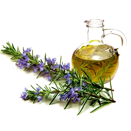 Ethiopian new crop Rosemary Spice & Seasonings Rosemaries Top quality 100% pure natural organic rosemary seeds for sale