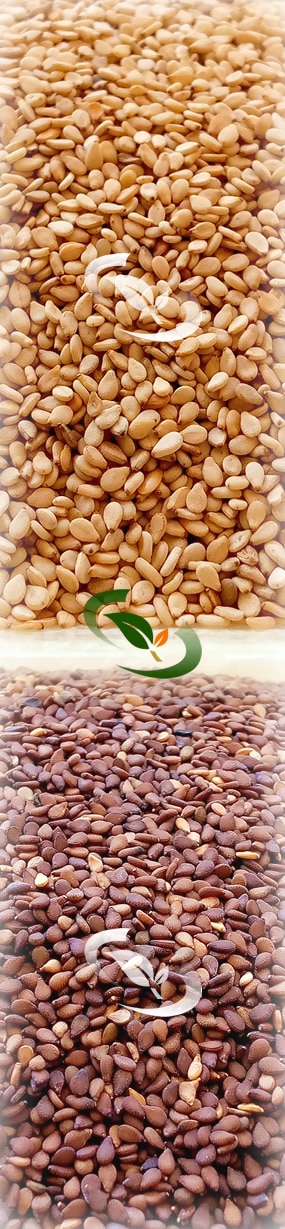 Ethiopian Sesame Seed