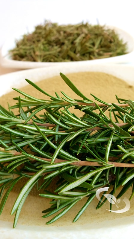 Wholesale natural rosemary herbs organic rosemary tea dried rosemary leave from Ethiopia ZemZem Trading House