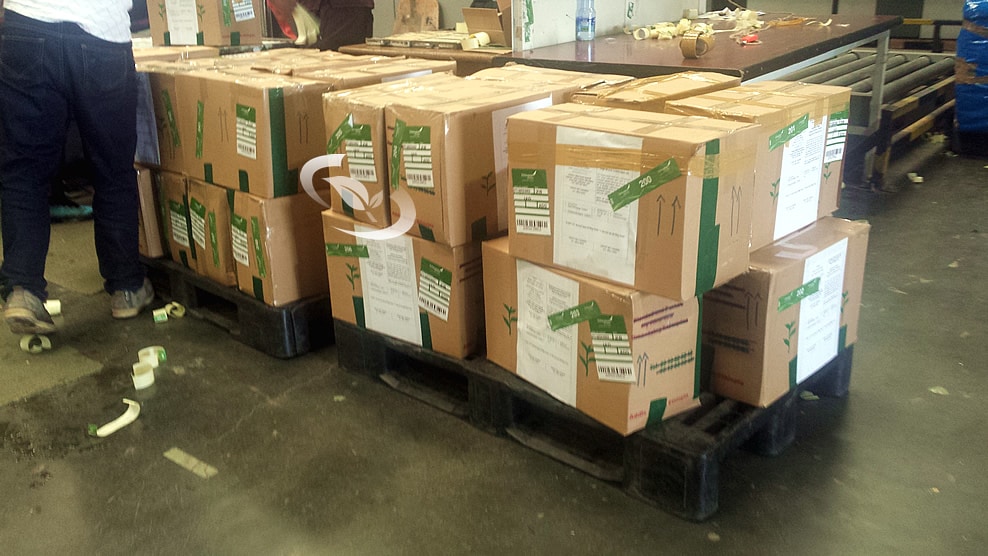 Inner Pack in a polybag, outside pack in a cardboard boxes
