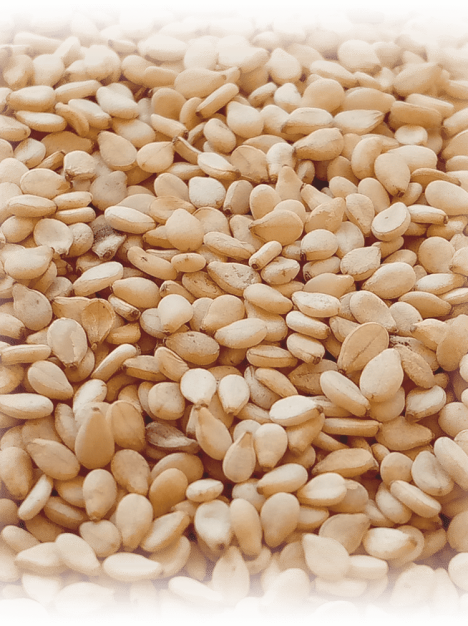 Good Quality Bulk Supplies