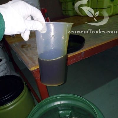 Barrel of Black seed oil