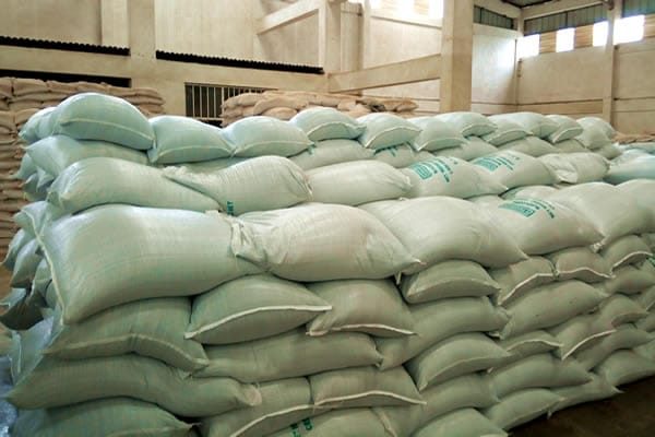 Ethiopian Black seeds 25kg bags